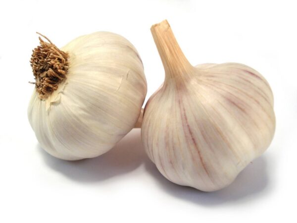 Garlic - Image 2
