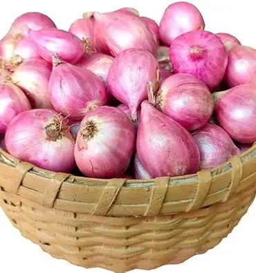 Onions