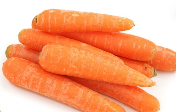Carrot