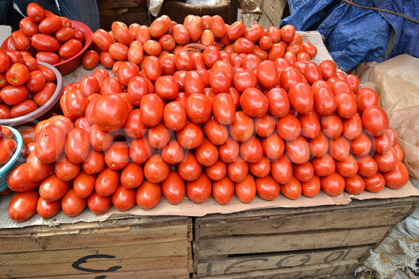 Tomato - Image 2