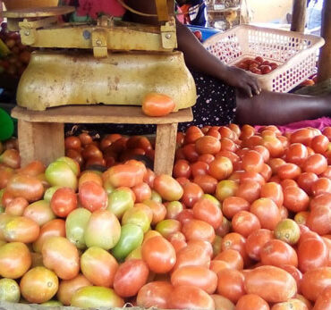 Tomato